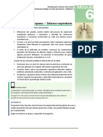 Modulo 6 - Material para La Clase Presencial - 1er Cuat 2022