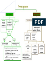 Esquema Sobre Trocas Gasosas Da Professora