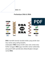Perbedaan DNA & RNA