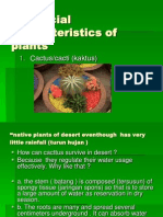 Characteristics of Plants