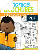 Phonics Reading Passages FREE