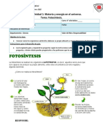 Fotosíntesis guía - proceso autótrofos plantas