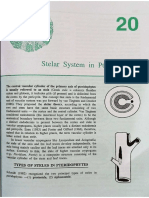 Stelar System (Pteridophytes) PDF