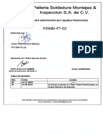 PMS&I-PT-02 Revision 01