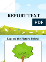 Report Text