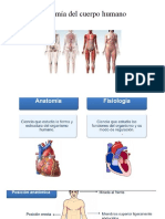 Anatomia Del Cuerpo