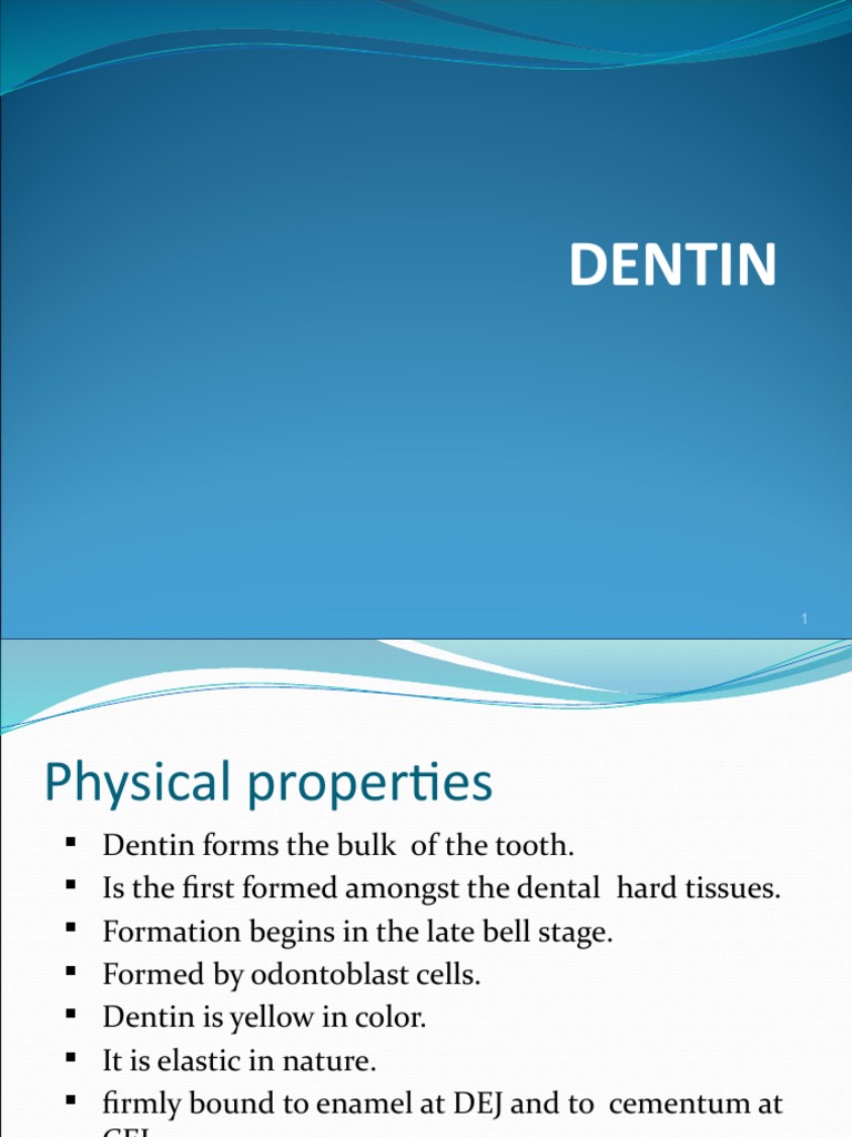 Dentin PDF Dentin Anatomy