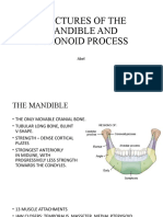 Mandibular Fractures