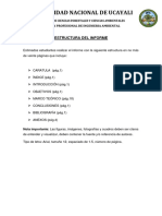 Estructura Del Informe