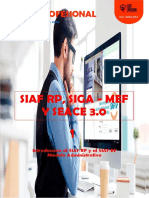 Siaf RP, Siga-Mef y Seace 3.0