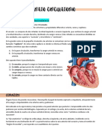 Aparato Circulatorio - Unidad6 PDF