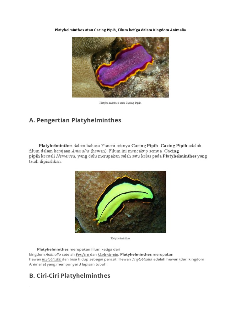 Ciri dan Klasifikasi Cacing Pipih | PDF
