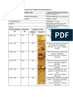 REGISTRO DEL PERFIL ESTRATIGRÁFICO - Semana 07