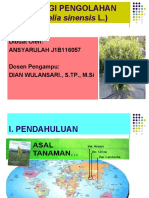 Tugas PPT Ansyarulah J1B116057 Teknik Pengolahan Teh