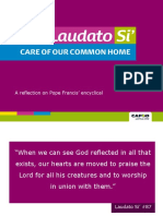 Reflecting on Pope Francis' encyclical Laudato Si