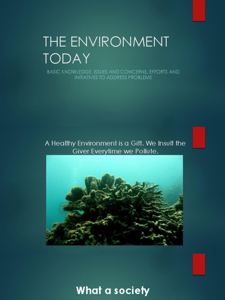 Environment Laws, Concepts and Principles PDF Natural Environment