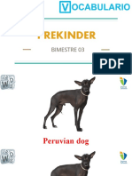 Prekinder - Vocabulario Del Bimestre