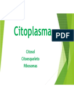 Cito Plasma