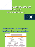 Mecanismos de Transporte A Través Endomembranas