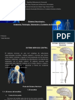 Sistema nervioso central: anatomía, fisiología y cuidados de enfermería