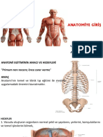 Ders - 1 (Anatomiye GiriÅ )