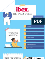 Sales Force Management - Ibex Global Project Report