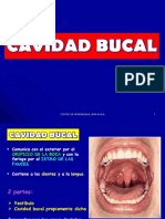 Cavidad Bucal