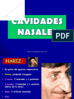 Cavidades Nasales