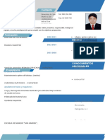 Curriculum Vitae CV