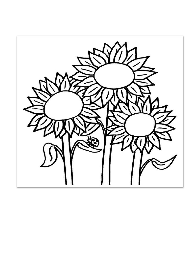 Sunflowers PDF