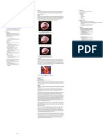 SK 3 (2) : Perdarahan Antepartum + PPT: Wednesday, September 21, 2022 8:07 AM