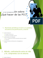 Introducción Sobre: ¿Qué Hacer de Las PCC?