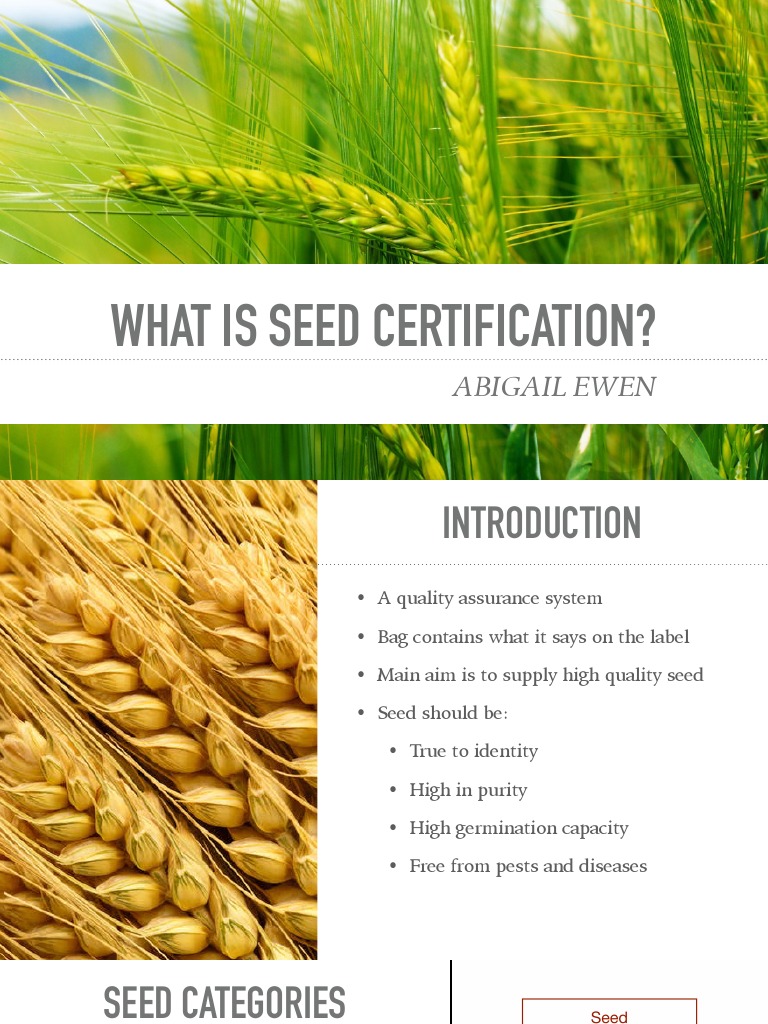 Introduction To Seed Certification PDF Seed Sowing