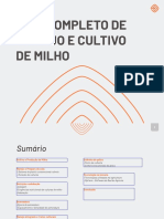 Guia completo de plantação de milho