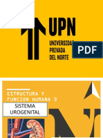 Sistema Urogenital 2022