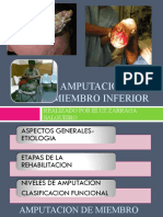 Amputacion de Miembro Inferior - PPT Eluz Version Imprimir