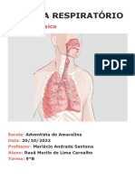 Sistema respiratório e educação física