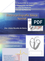 ECG Normal