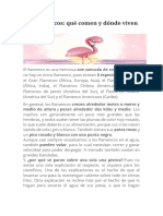 Los Flamencos: Qué Comen y Dónde Viven: Medio de Altura y Pesan Alrededor Dos Kilos y Medio. Los