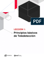 LECCIÓN 1 Principios Básicos de Teledetección