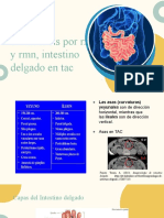 Tránsito Intestinal, Enteroclisis Gs