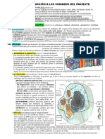 Componentes Enfermedad