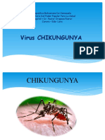Todo Sobre Chikungunya