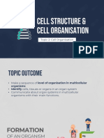 c1 t2 Cell Organization