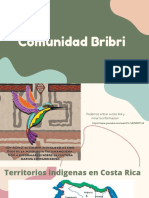 Comunidad Bribri PDF