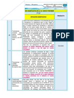 1º-2º-Situcion Significativa de Nuevo Porvenir