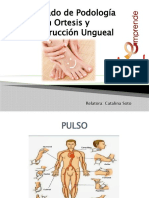 (Clase 19) Puntos Donde Tenemos Latidos y Tomar Presion, Que Es La Presion Arterial y Que Es El Pulso.