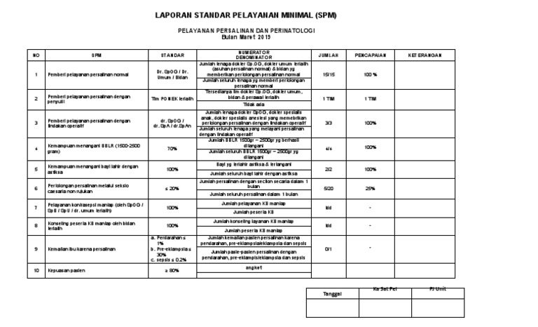 Laporan Standar Pelayanan Minimal (SPM) : Pelayanan Persalinan Dan ...