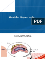 Clase N°6 Suprarrenal-Calcemia-Glicemia-Gonadal