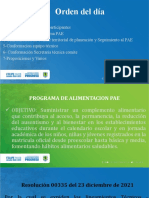 Diapositivas Comite Pae